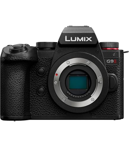 PANASONIC LUMIX G Leica DG Vario-ELMARIT Professional Lens, 12
